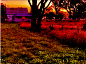 Invitation: Kaye Mahoney and Teena McCarthy Exhibition Opening Sunday 4 May 2.30pm - mailchi.mp/8973979f03c6/f…