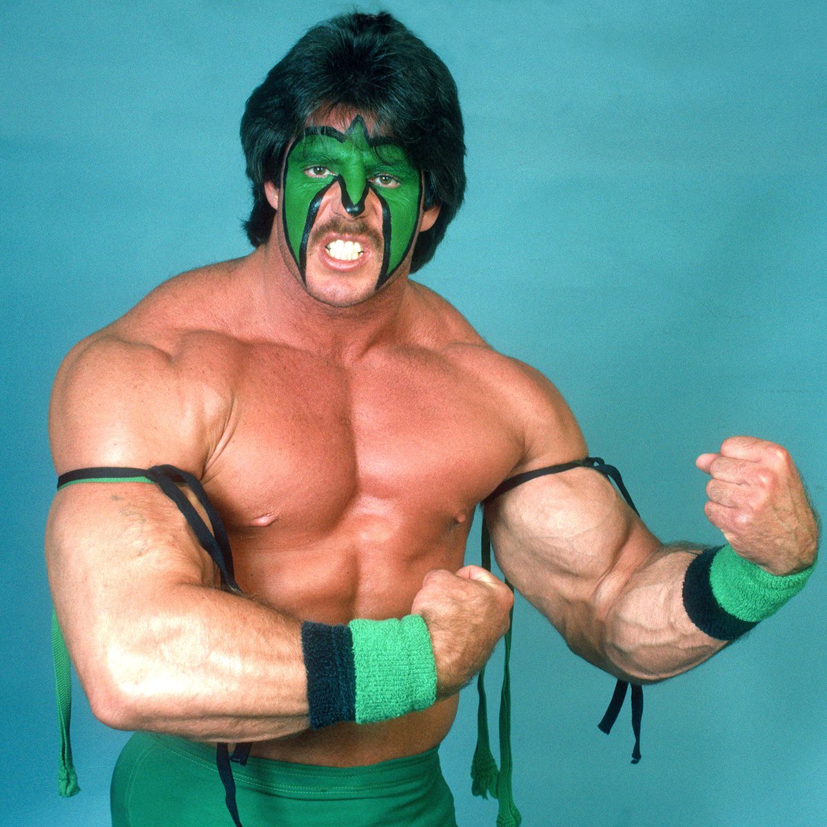 プロレス・スターウォーズ に登場するのもディンゴ・ウォリアーでした
