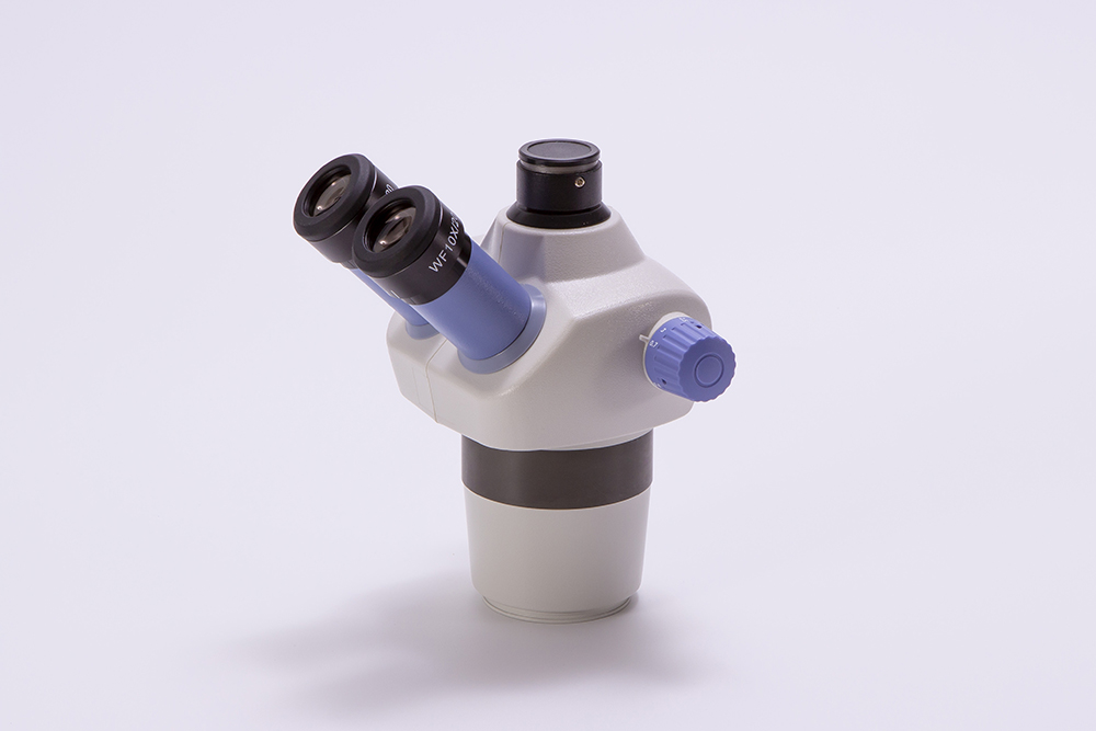 shanghaimss_'s tweet image. Explore the microworld with stereo microscopes and uncover nature's hidden wonders! 🔬 #StereoMicroscopes #MicroworldExploration #foy #foryou #ShanghaiMss