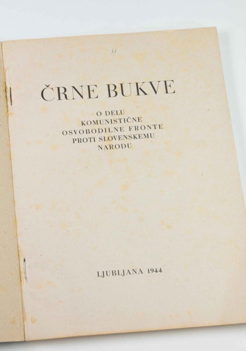 Po možnosti naj bo ta knjiga Črne bukve! Komunisti so morilci in levica se ima za njihove ponosne naslednike.