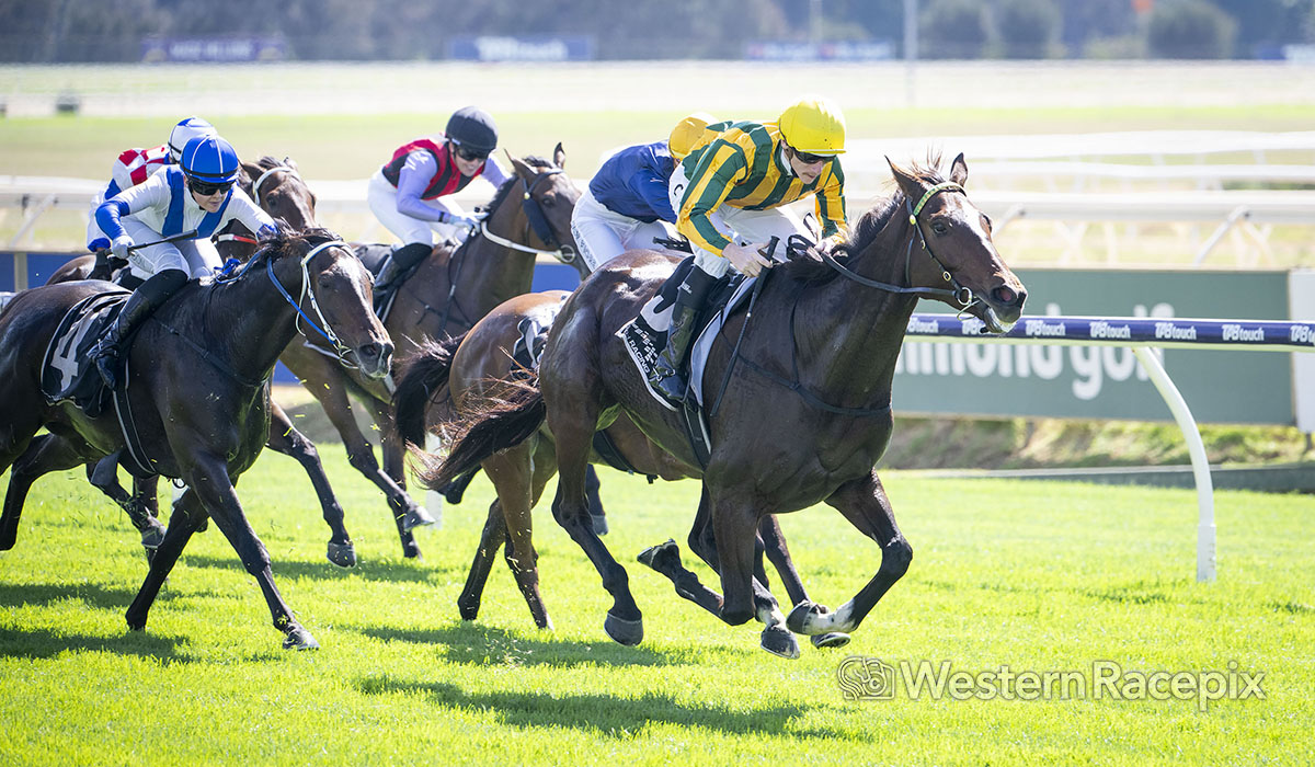QUEEN OF JERUSALEM - Ascot Sat 12th April <a href="/PerthRacing/">Perth Racing</a> #WesternRacepix #GiddyUpAscot #ItalianDay

More  📸​ westernracepix.com