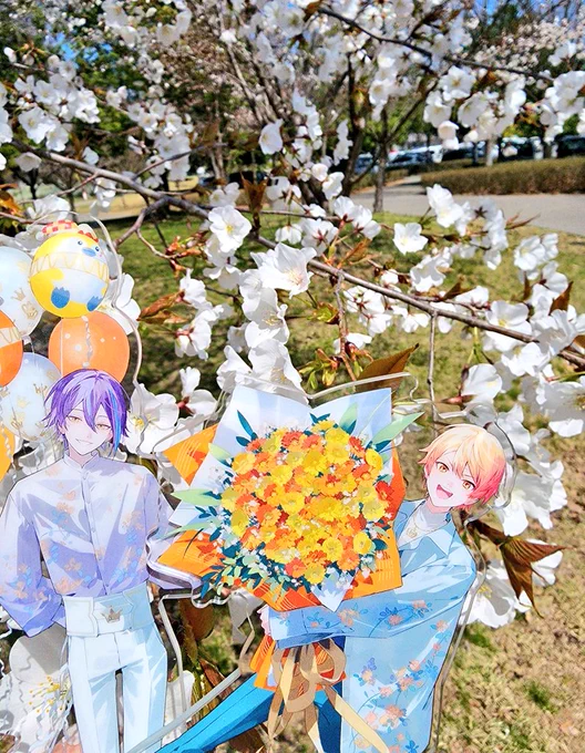お花見した 