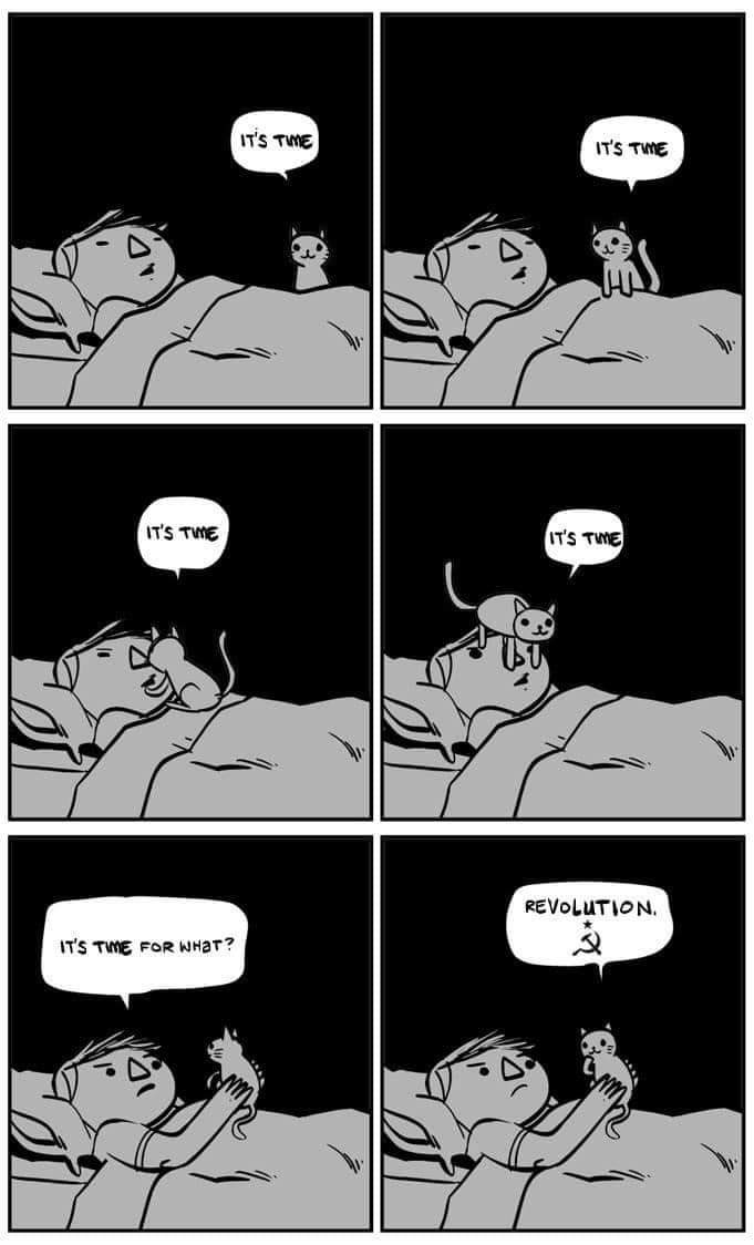 ★☭MassStrikeNow☭★ (@strike_dr) on Twitter photo 