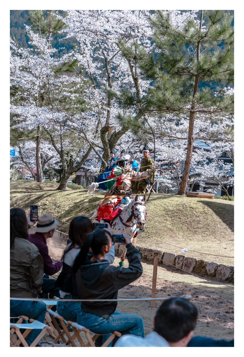 鳶の目玉 (@wnjjv7t00u89081) on Twitter photo 