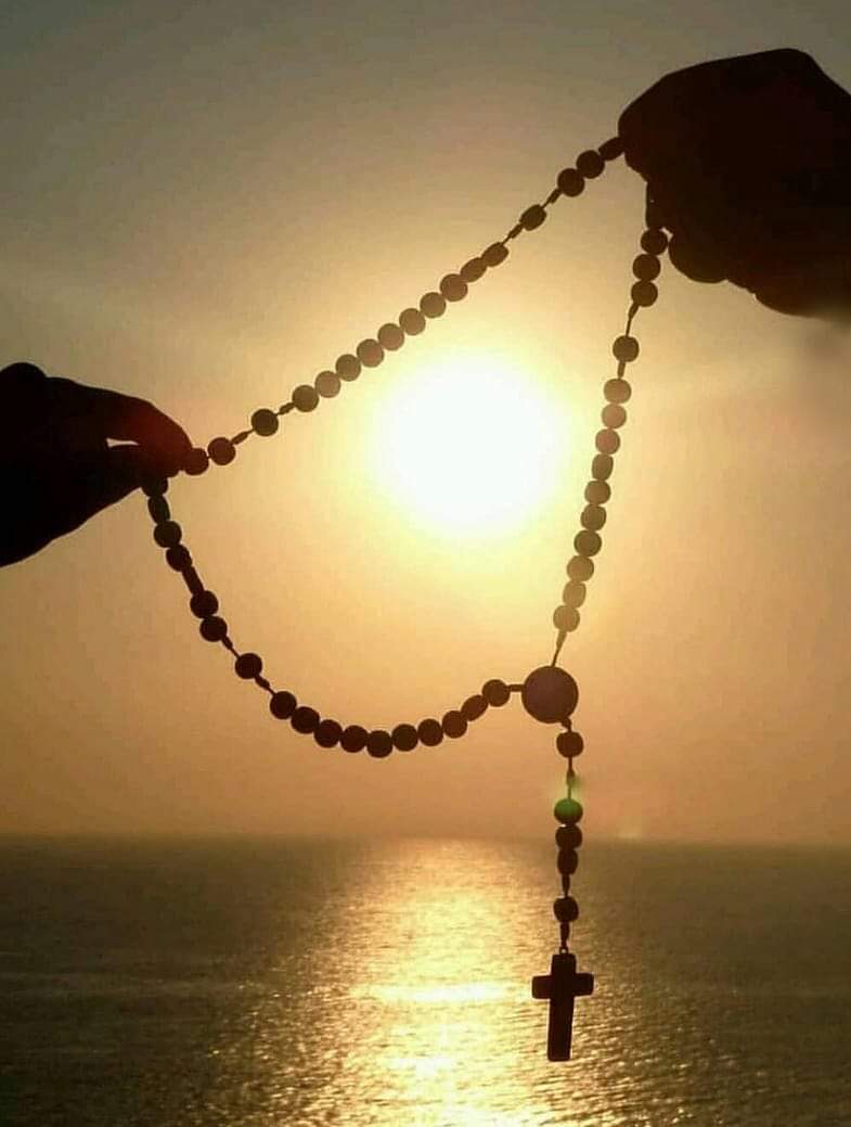 SkyVirginSon's tweet photo. If you see this, I prayed a Rosary for you 🙏🏻 https://t.co/zr5mFDpbly