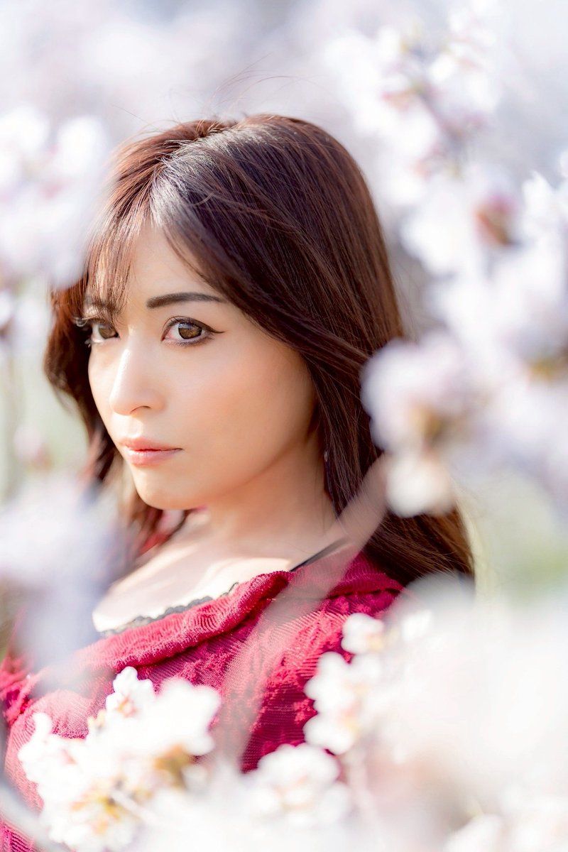 ahcrea1002photo's tweet photo. model:Arly さん( @arly0401 )
#Arly #Arly_ph #ありぽ
#桜 #桜ポートレート
Sony α7Ⅲ + SIGMA 85mm F1.4 DG DN https://t.co/9SHCNegMPk