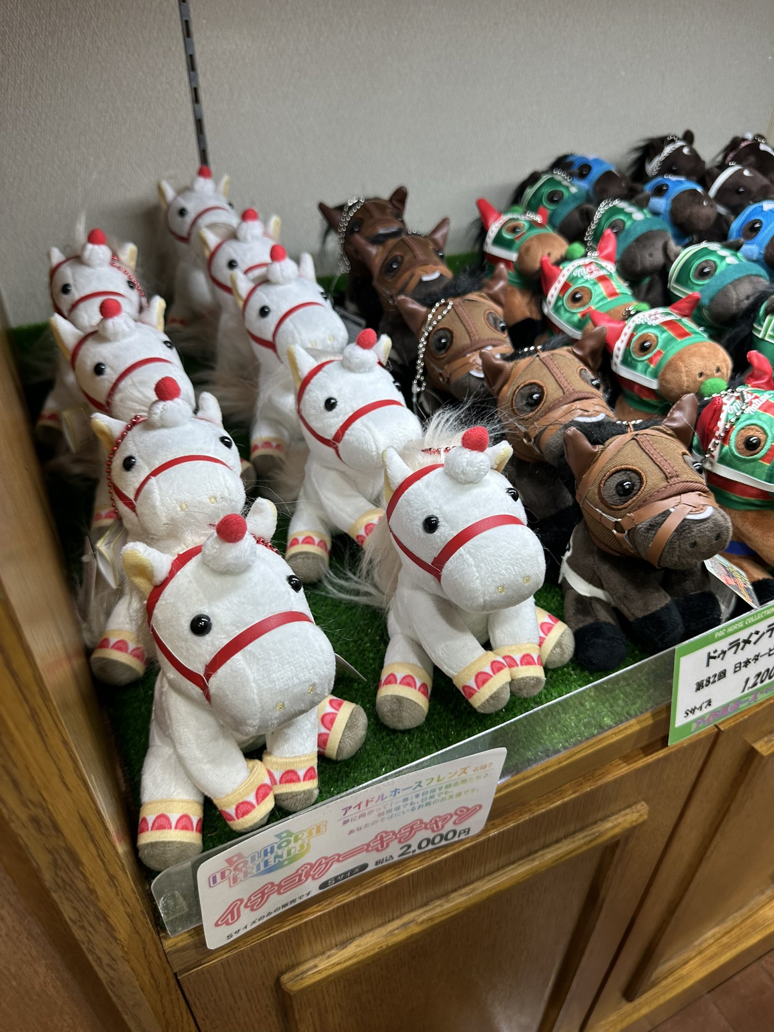 【バラ売り可】がんばれ馬券 レジェンドホース/アイドルホース GwsIfztbgAMCnxM.jpg