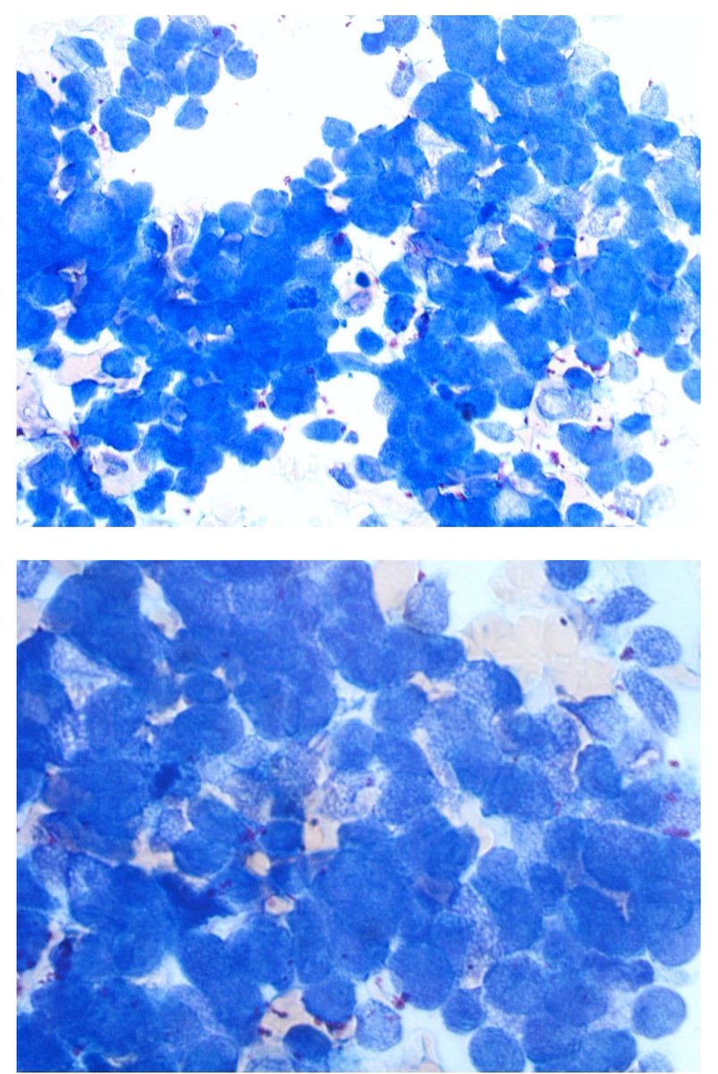 Tim Bracey tweet media