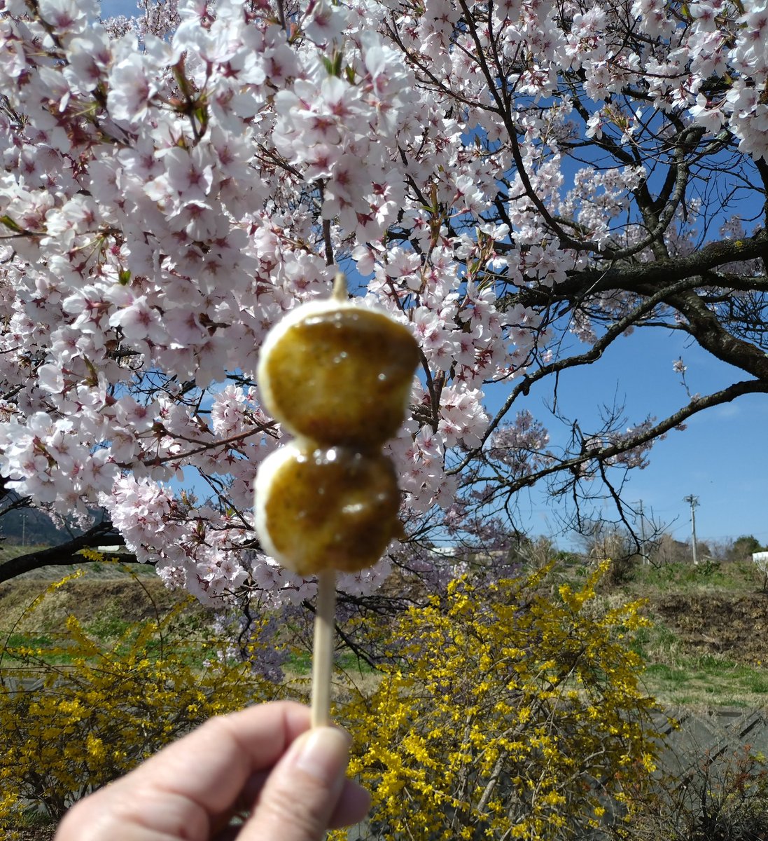 道の駅で五平餅🤤