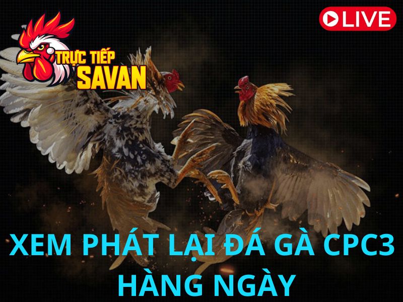 tructiepsavan1's tweet photo. Xem Phát Lại CPC3 Không Sót Trận Nào Tại Trực Tiếp Đá Gà SAVAN
Xem các trận đấu bạn đã bỏ lỡ tại CPC3 tại đường link này: https://t.co/y0tlqb69YH
#truonggasvan #dagatructiep #dagac1 #dagac2 #dagac3 #dagac4 #dagac5 #tructiepsavan https://t.co/XWGEX1sFUN