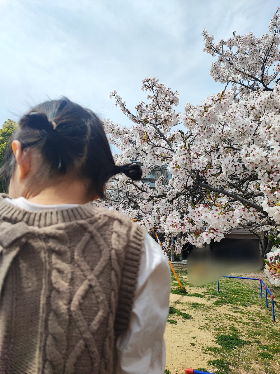 mikanchan202002's tweet photo. 公園で春を感じてきました🌸 https://t.co/JpmSnzOh9W