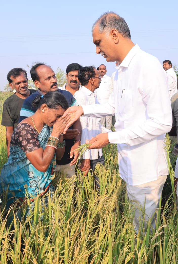 BRSparty's tweet image. సిద్దిపేట నియోజకవర్గం నంగునూర్ మండలం రాజ్ గోపాల్ పేట్ గ్రామంలో ఇటీవల కురిసిన అకాల, వడగండ్ల వర్షాలకు నష్ట పోయిన పంట పొలాలను పరిశీలించిన మాజీ మంత్రి, ఎమ్మెల్యే హరీష్ రావు.

ఈ సందర్భంగా @BRSHarish కామెంట్స్ 👇🏻

♦️వడగండ్ల వానతో రైతులు తీవ్రమైన ఆందోళనలో ఉన్నారు. 

♦️నంగునూరు మండల్…