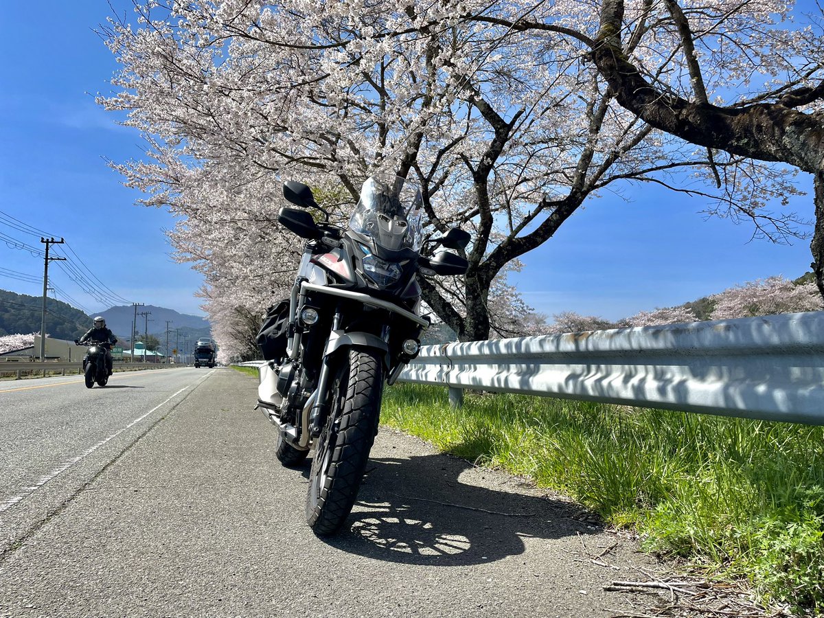 hydrogen_400x's tweet photo. 桜見てうどん食べてきたよ

 #400x  #バイクのある風景 https://t.co/JukHDWU8Nw