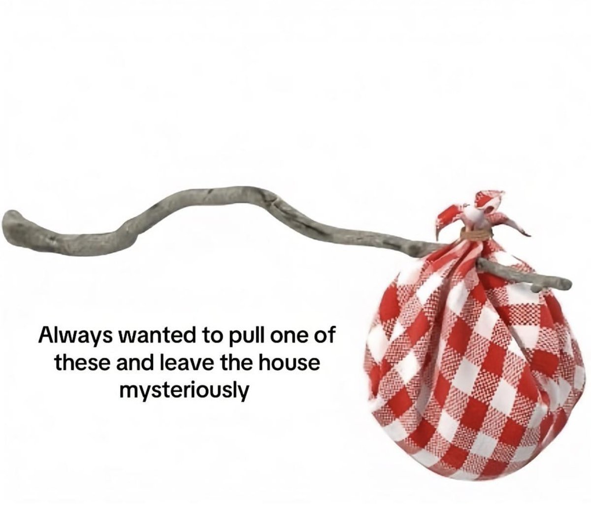 My childhood dream 😭🤌🏻