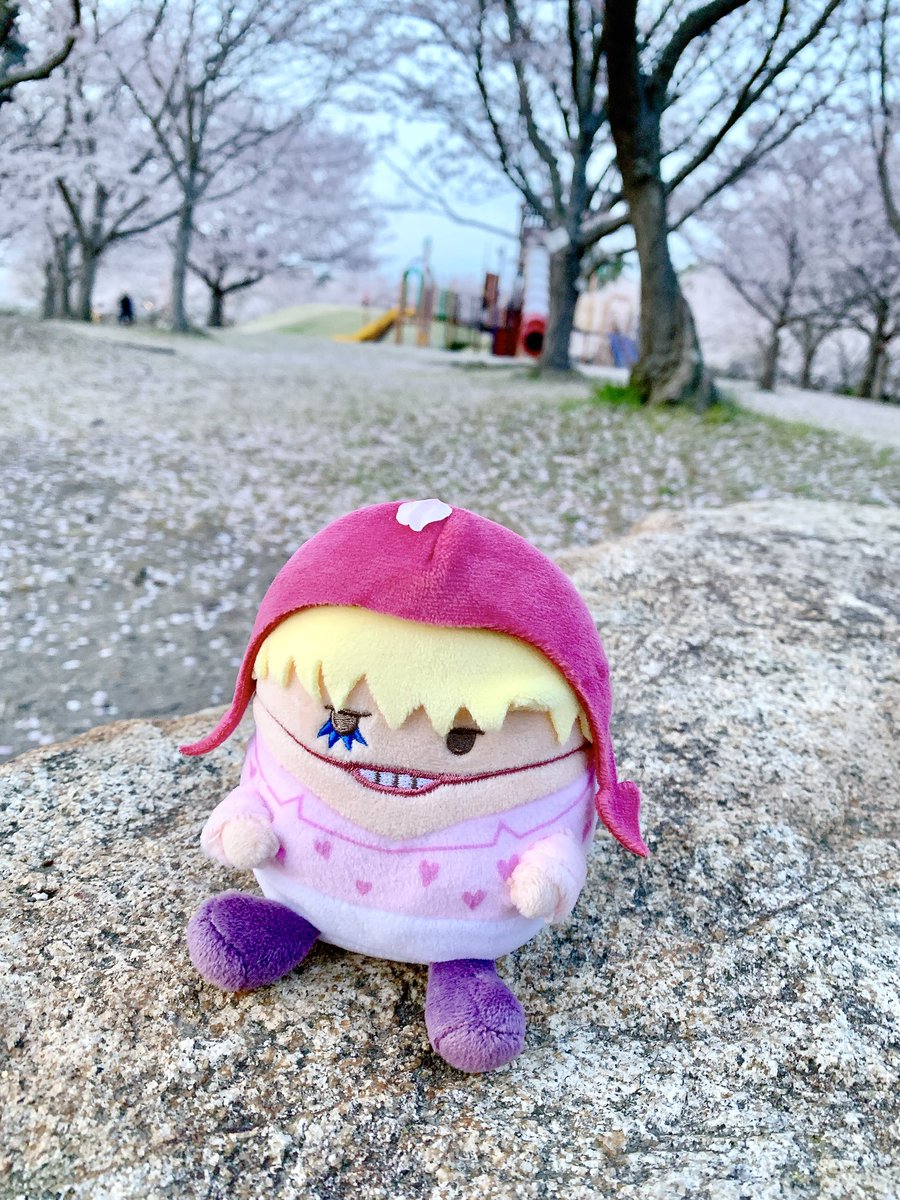 みけこ tweet media