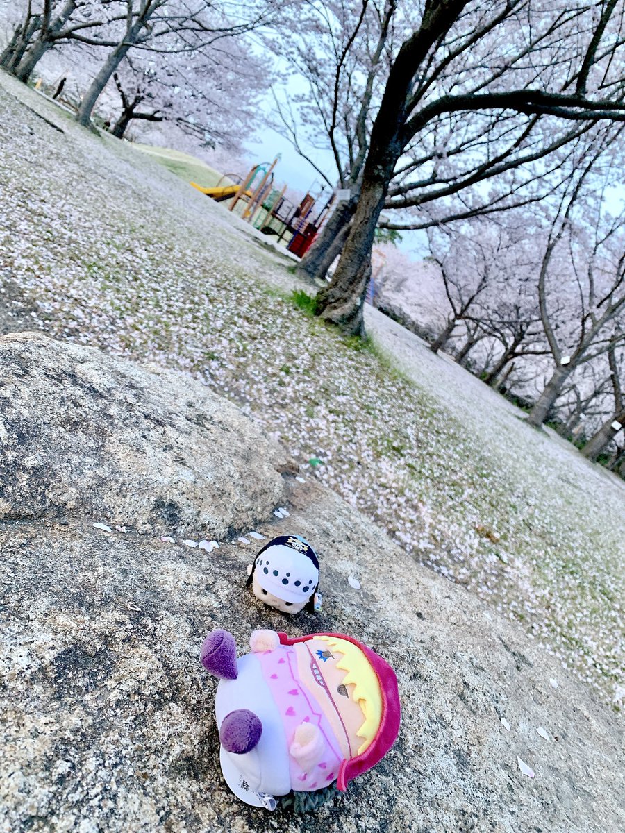 みけこ tweet media