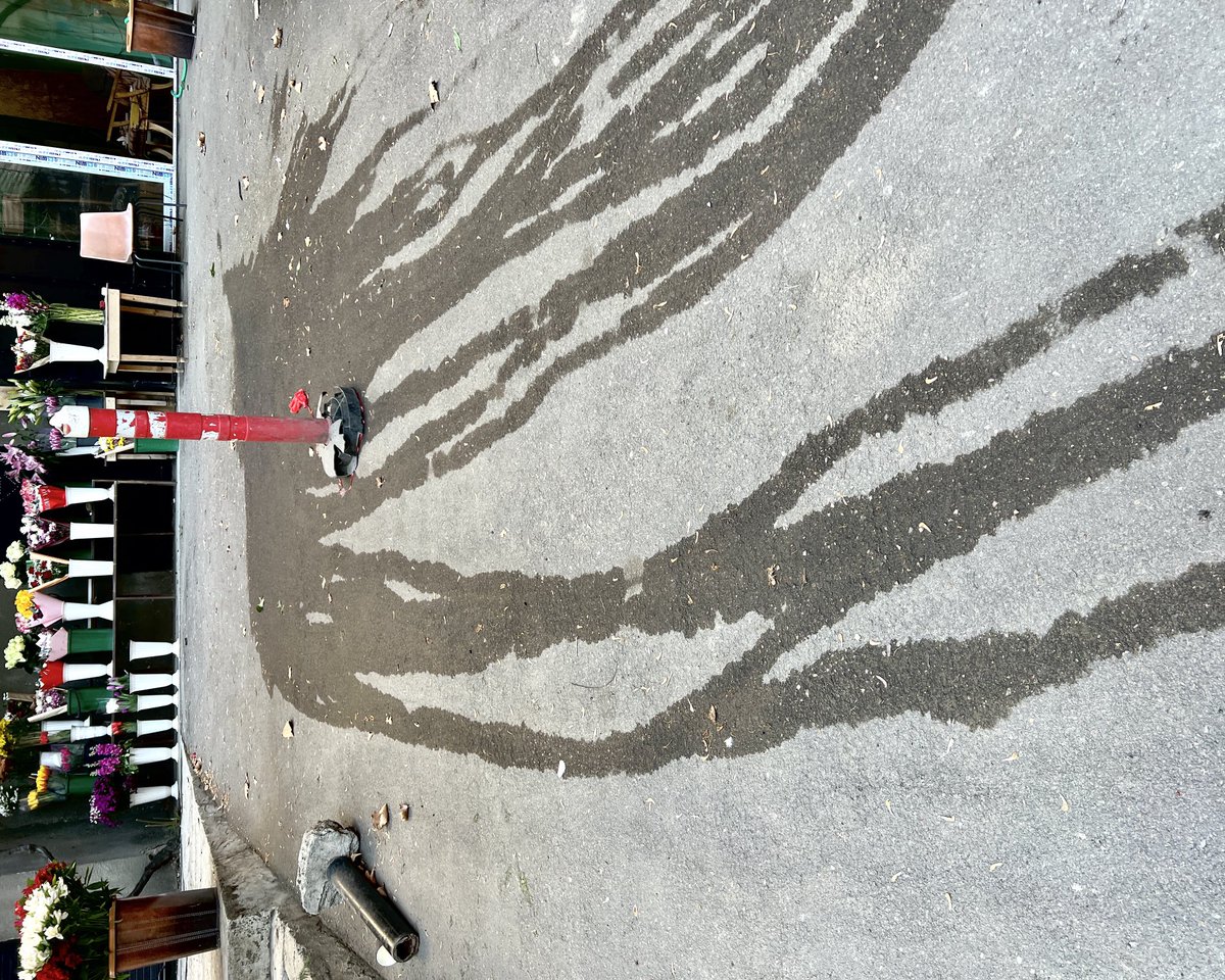 Anton Reva tweet media