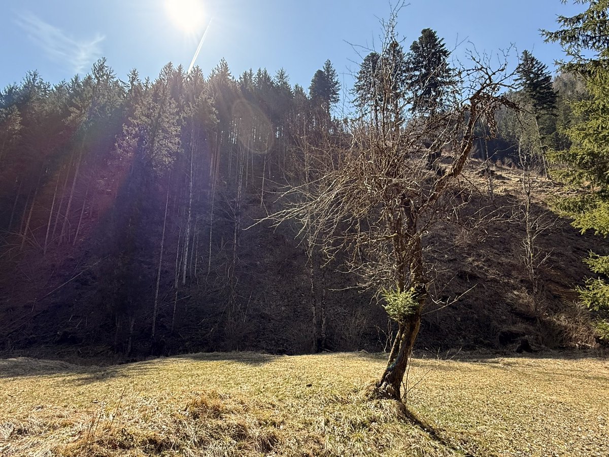 Martin Stepic tweet media