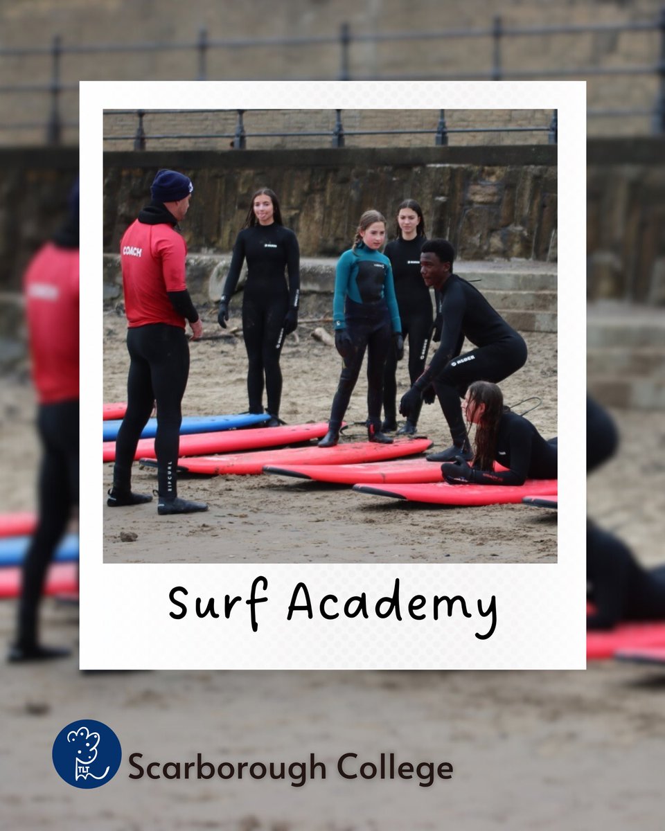 The Lemon Tree Education tweet media