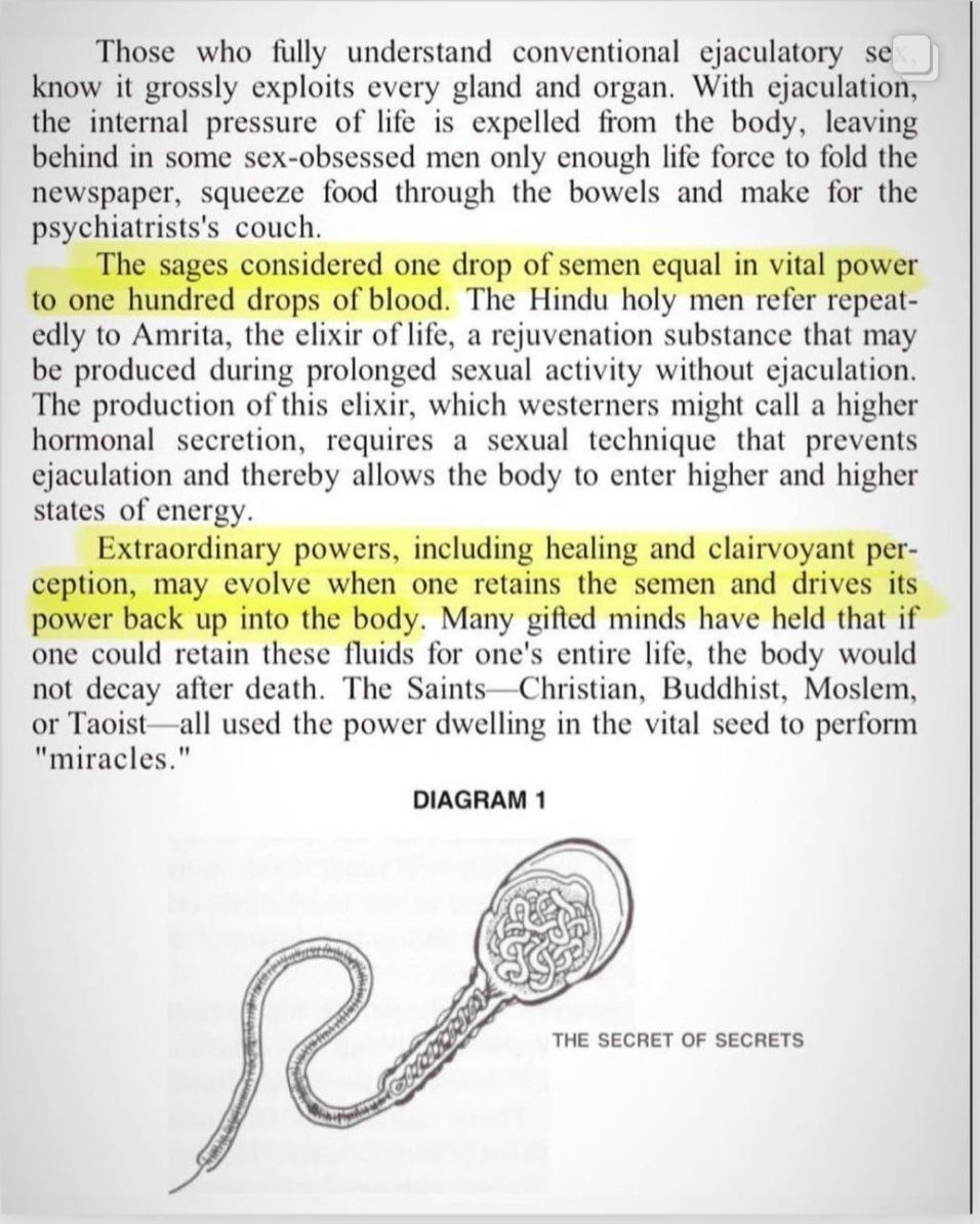 ILYCOOLCAT's tweet image. #SPE11SWORD #SemenRetention 
             ⚕️           👁          ⚕️
#thirdeye                       #pinealgland