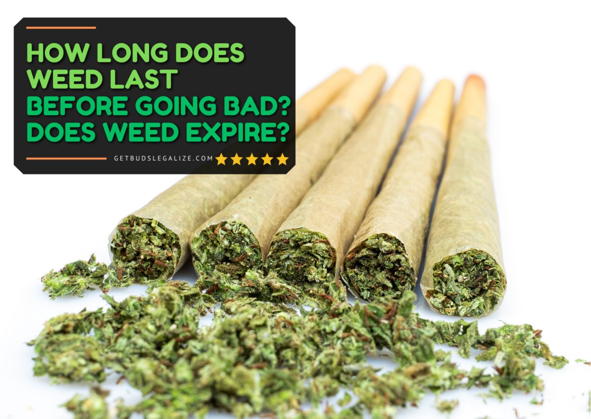 SacredSoundX's tweet photo. 🌿 Does weed expire?
Can it go bad if you stash it too long?
Find out how to tell if your bud’s still good — or if it belongs in the bin. 🕵️♂️💨
👉 https://t.co/8h1OxzxhL9
#CannabisTips #WeedStorage #CannabisFacts https://t.co/P1qT8eUIib