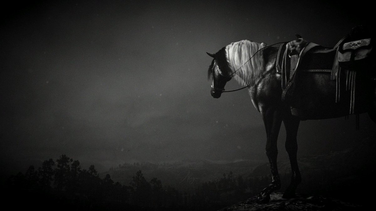 _Aliyn_'s tweet photo. name is Moon
#rdr2 #RedDeadRedemption2
@RockstarGames
#VirtualPhotography #ThePhotoMode #VPRT #VGPUnite #VPGamers #TheCapturedCollective #TCCHighContrast https://t.co/li4UyoNARC