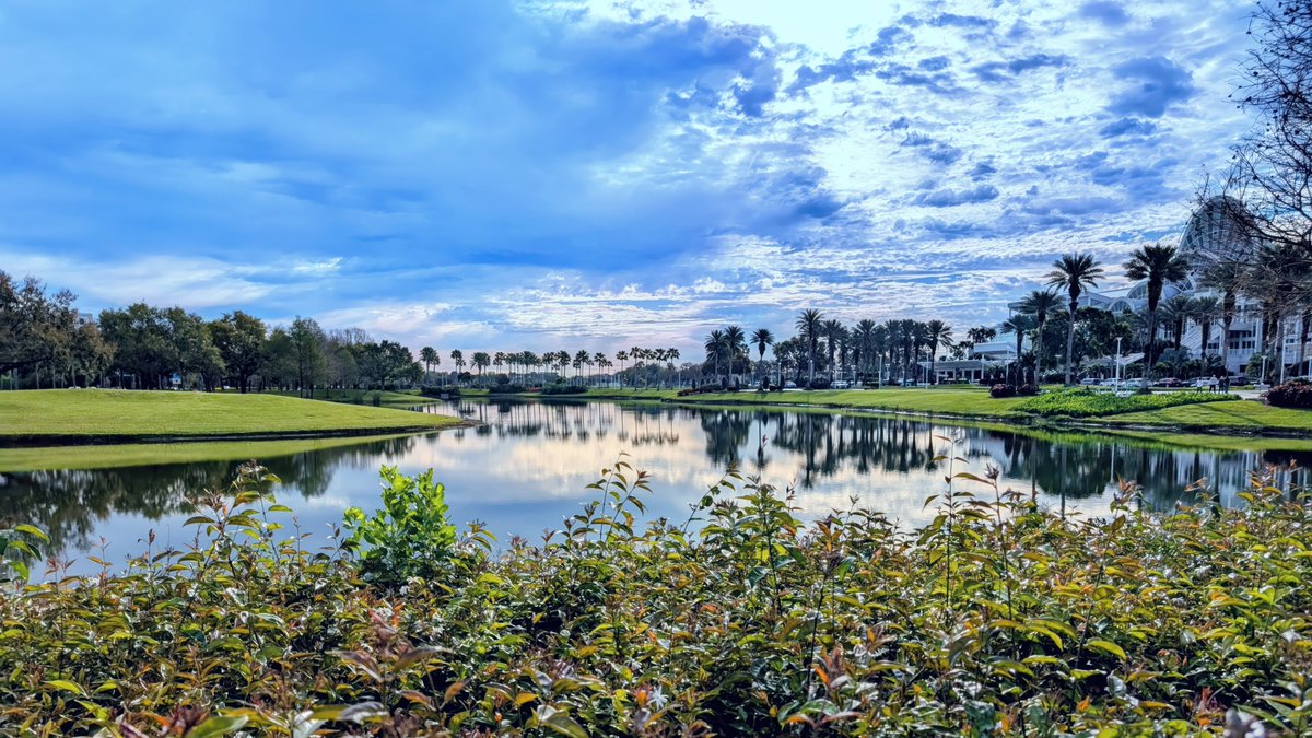 Majestic Morning 🌴💧☀️
🔹 .027 WETH on Polygon
🔹 Auction is LIVE / ends Mon 4p ET ⏰

Nothing is more majestic than a morning walk during a winter escape to Orlando, FL.
opensea.io/assets/matic/0…