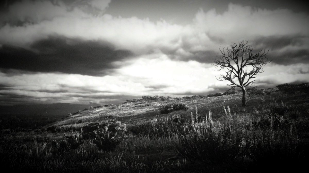_Aliyn_'s tweet photo. name is Moon
#rdr2 #RedDeadRedemption2
@RockstarGames
#VirtualPhotography #ThePhotoMode #VPRT #VGPUnite #VPGamers #TheCapturedCollective #TCCHighContrast https://t.co/li4UyoNARC
