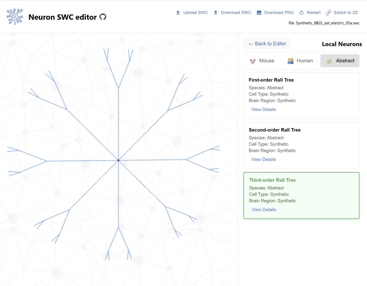 New neurons in the Neuron SWC Editor.
These are abstract neurons that obey Rall’s equivalent electrotonic constraints, each with different branching geometry.

Part of <a href="/einavher/">Einav</a> &amp; <a href="/IdoAizenbud/">Ido Aizenbud</a>’s research into how morphology affects a neuron’s computational complexity.