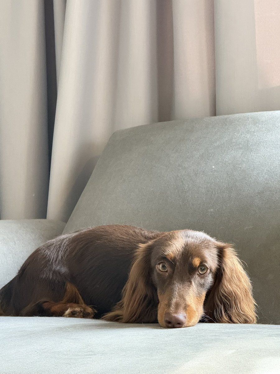 Bossckm_'s tweet image. นั่งจ๋องเลยยยย