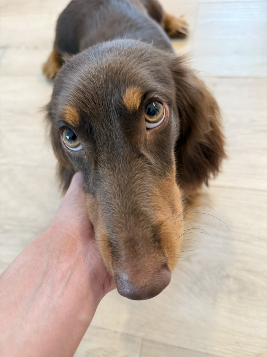 Bossckm_'s tweet image. นั่งจ๋องเลยยยย