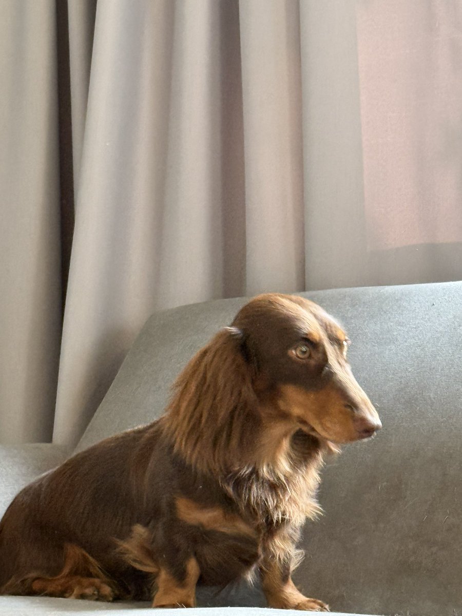 Bossckm_'s tweet image. นั่งจ๋องเลยยยย