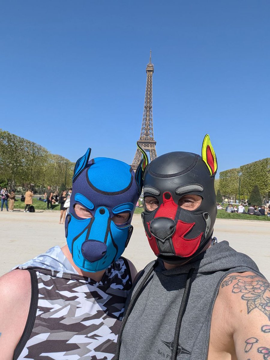 WoofThepup's tweet photo. "Adventure makes the heart beat... discovery brings all the smiles" Woof is having an amazing time in Paris with his omega @flash_mutt the weather is amazing.. hope everyone is having an amazing weekend awooooo #alphapup #omegapup #hungalpha #cagedomega #pupsontour #travelpups