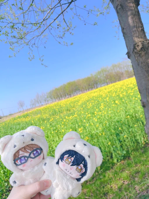 いつぬいちゃんと桜と菜の花みてきた 