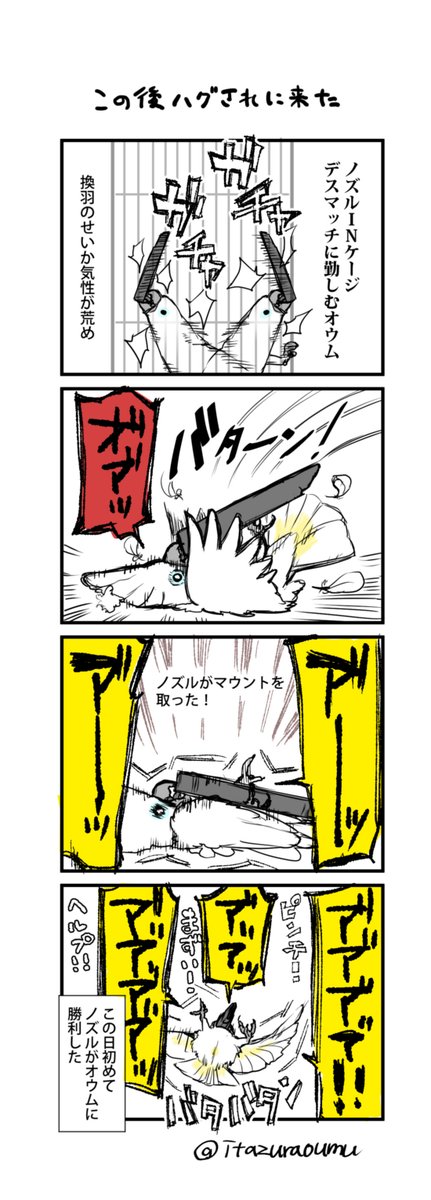 ノズルと戦うオウムの4コマ 