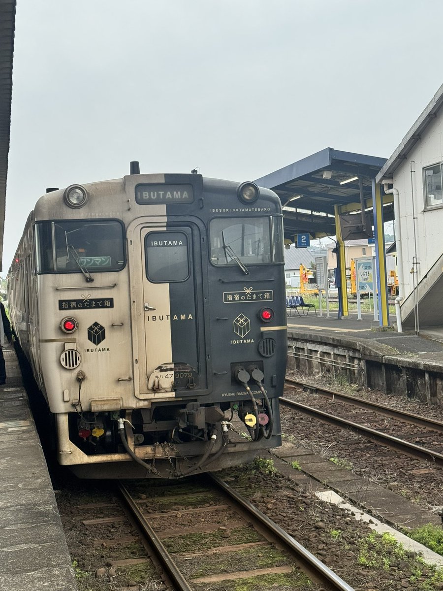 makincyo52's tweet photo. お墓参りへ鹿児島に行ってきました！！
今回は白水館に宿泊♨️
今回はサイクリングしながら観光したのでグッタリしております🤣 https://t.co/D8S7e5HdvW
