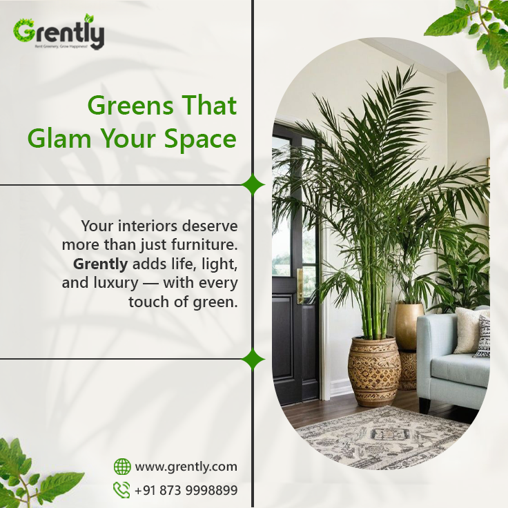 GoGrently's tweet photo. A touch of green, a world of calm. 🌿
Elevate your space with Grently’s curated rental plants — designed to soothe, styled to impress.
.
.
#Grently #RentYourPlants #GreenIsIn #PlantGoals #StylishSpaces #PlantRentalIndia #UrbanDecor #OfficeGreens #HomeGlowUp #AffordableLuxury https://t.co/EJo4eGSdxe
