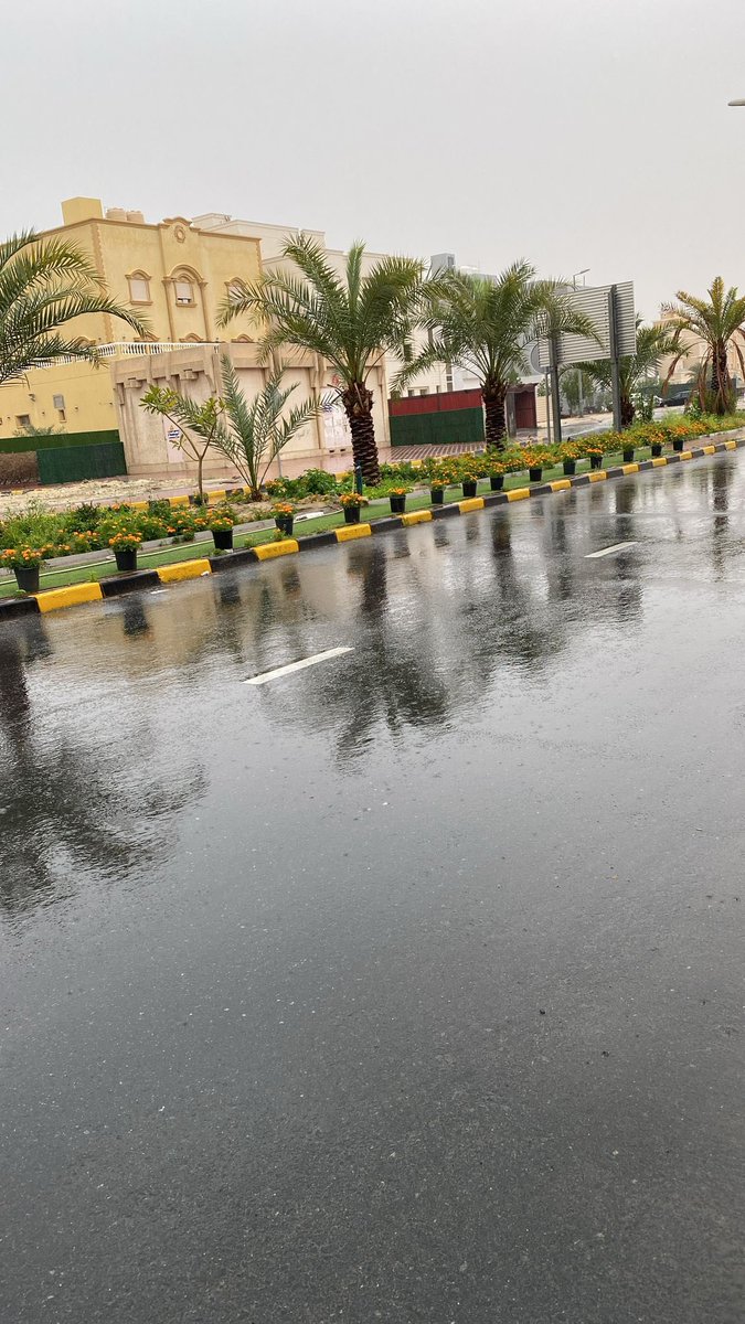 alaraabi20's tweet photo. بادرة جميلة من الاخ العزيز 
سلطان بو رقبة العتيبي
زراعة الشارع الرئيسي المقابل
لمنزله في الضاحية الخامسة
بمدينة صباح الاحمد على نفقته
الخاصة له منا جزيل الشكر https://t.co/eJg5akDJk2
