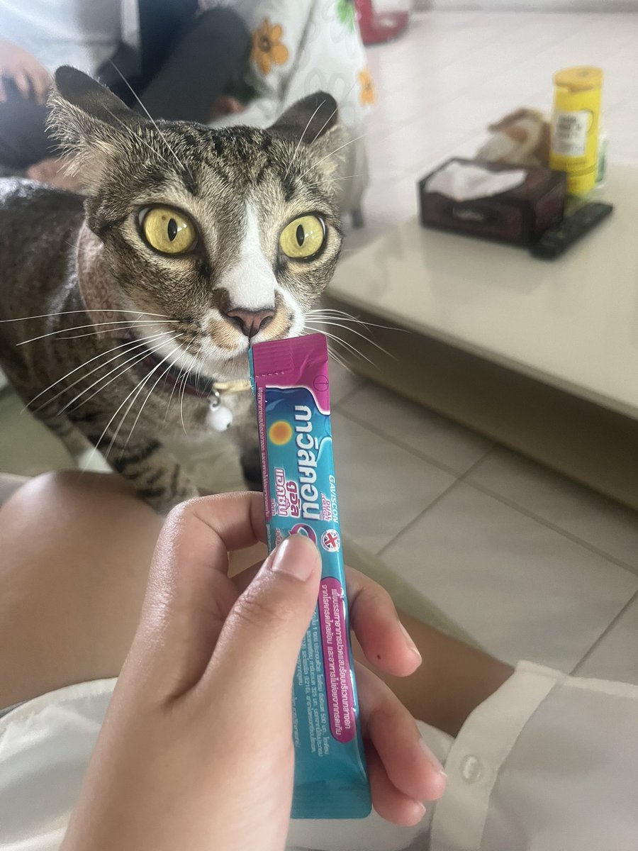 viwenny's tweet image. 