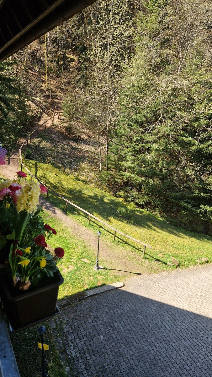 FewoTriberg's tweet photo. So, in Triberg angekommen und erstmal auf dem Balkon Café trinken. ☕️🌞 

Und nachher vielleicht einen kleinen Spaziergang im Wald. Der ist ja nur 20 Meter entfernt 😍

Liebe Grüße aus den Schwarzwald 🌲🤗 https://t.co/Zk9cByx3Sw