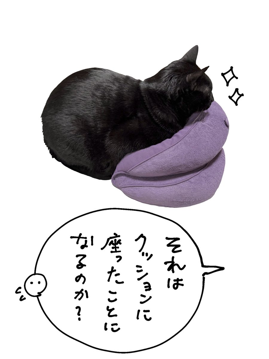クッションはねこに奪われる宿命
という絵日記 