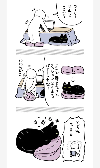 クッションはねこに奪われる宿命
という絵日記 