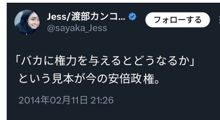 ニッコニコ アベガー ボイコット 党員 擁立に関連した画像-01