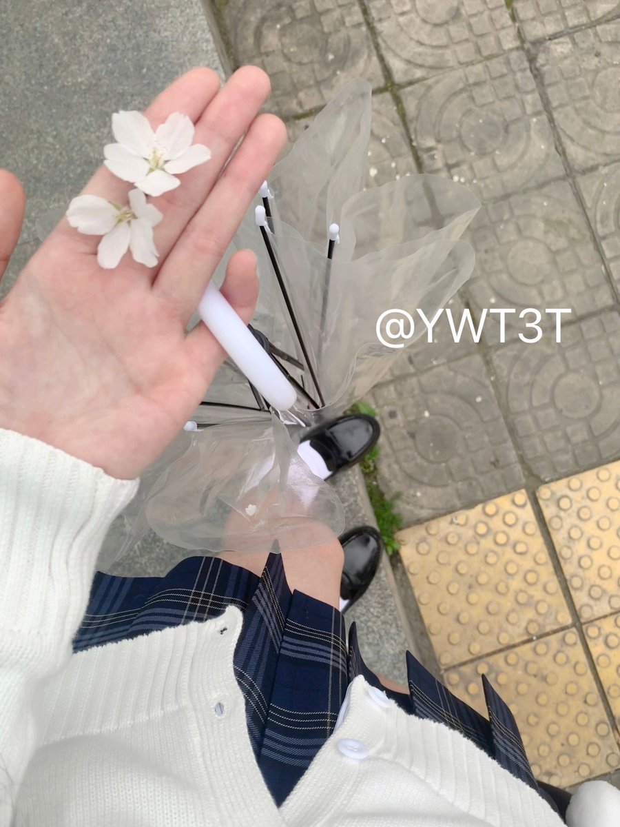 耶比酱（出原味） tweet media