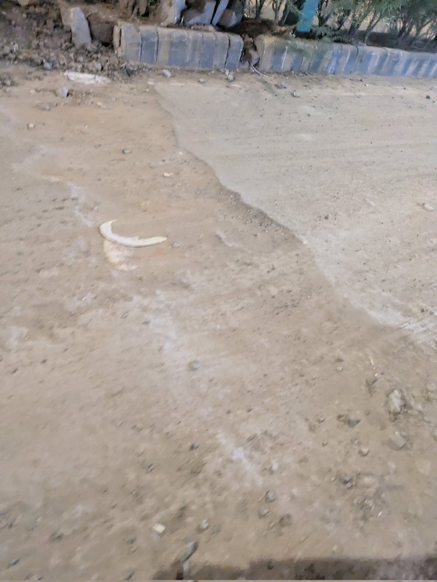 abhikhare24's tweet photo. @VMCVadodara please repair the pot holes on the road, entire road having pot holes from "synnove enclave to 7 herbs restaurant" , bhayli TP2, VADODARA https://t.co/kbiCiW8CQZ