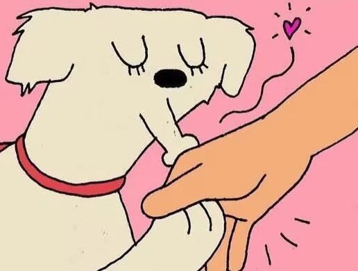 Akinori9013's tweet image. 20↑/🇨🇳/🔞/🚫AI
CRK/project moon/OC/RainWorld/Hollow Knight
❤️PureVanillaCookie❤️
❤️🎭🍦🎭❤️