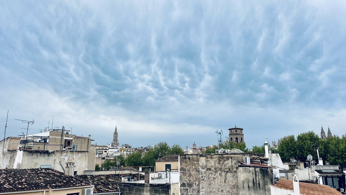 Solsolet12's tweet photo. Mammatus https://t.co/iBFe5CTGkM