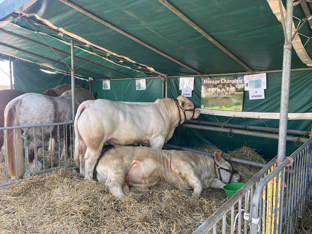 Échange ce vendredi à la foire de <a href="/Coulommiers_77/">Ville de Coulommiers</a> entre la profession agricole <a href="/rousseautrocy/">Arnaud Rousseau</a> avec <a href="/bayrou/">François Bayrou</a>  , <a href="/AnnieGenevard/">Annie Genevard</a> et <a href="/FrancoiseGatel/">Françoise GATEL</a> .
Les agriculteurs n’en peuvent plus d’attendre le vote de la loi Entrave, le passage en Mai à l’<a href="/AssembleeNat/">Assemblée nationale</a> ne peut plus être