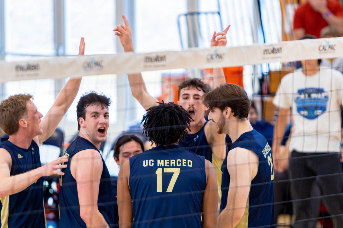 UC Merced Bobcats tweet media