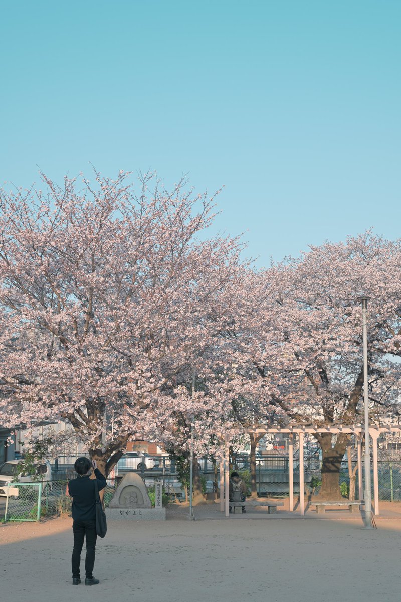 Agi（あぎ） (@agito_photo) on Twitter photo 